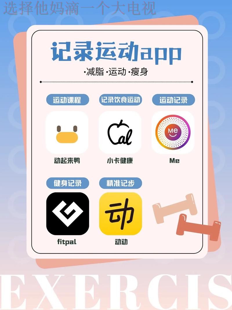 B体育手机APP下载与使用指南 B体育手机APP下载与使用指南