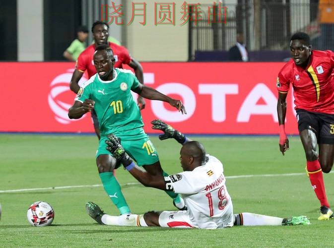 世界杯投注app进攻型球队真的更稳吗 完整指南来了 世界杯投注app进攻型球队真的更稳吗 完整指南来了