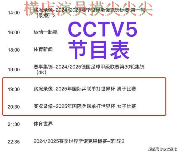 世界杯全球总决赛背景下的世界杯买球平台揭秘与数据分析直播解析